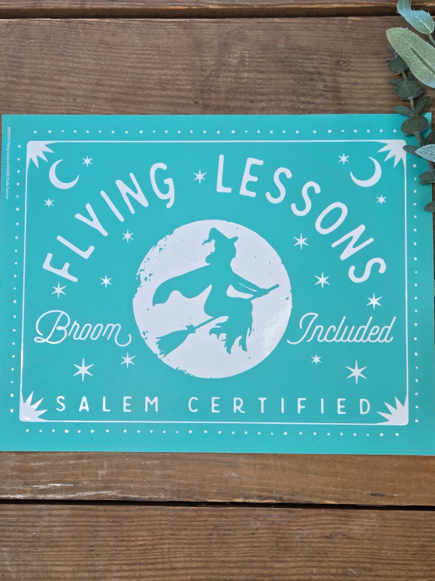 Flying Lessons