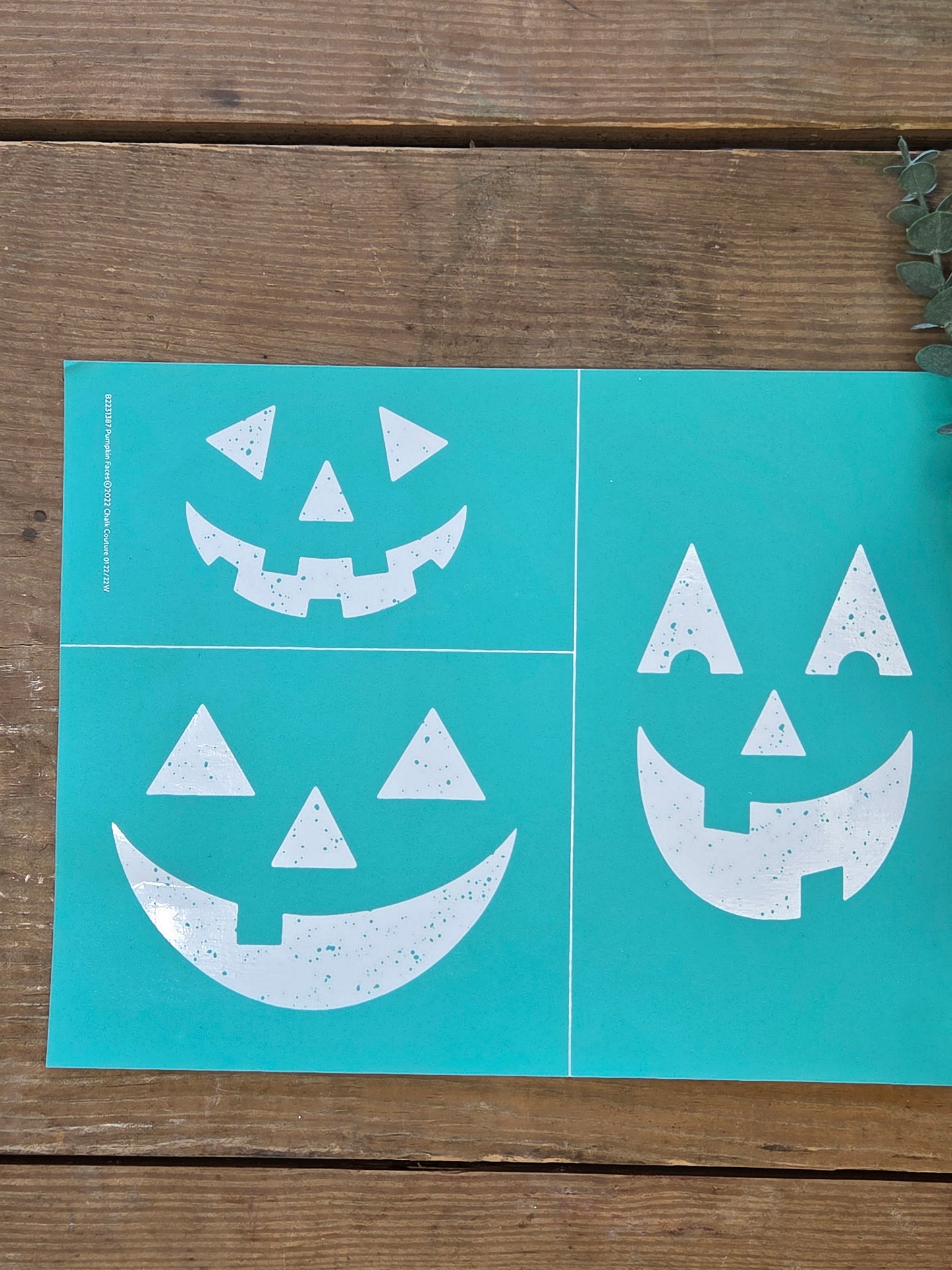Pumpkin Faces